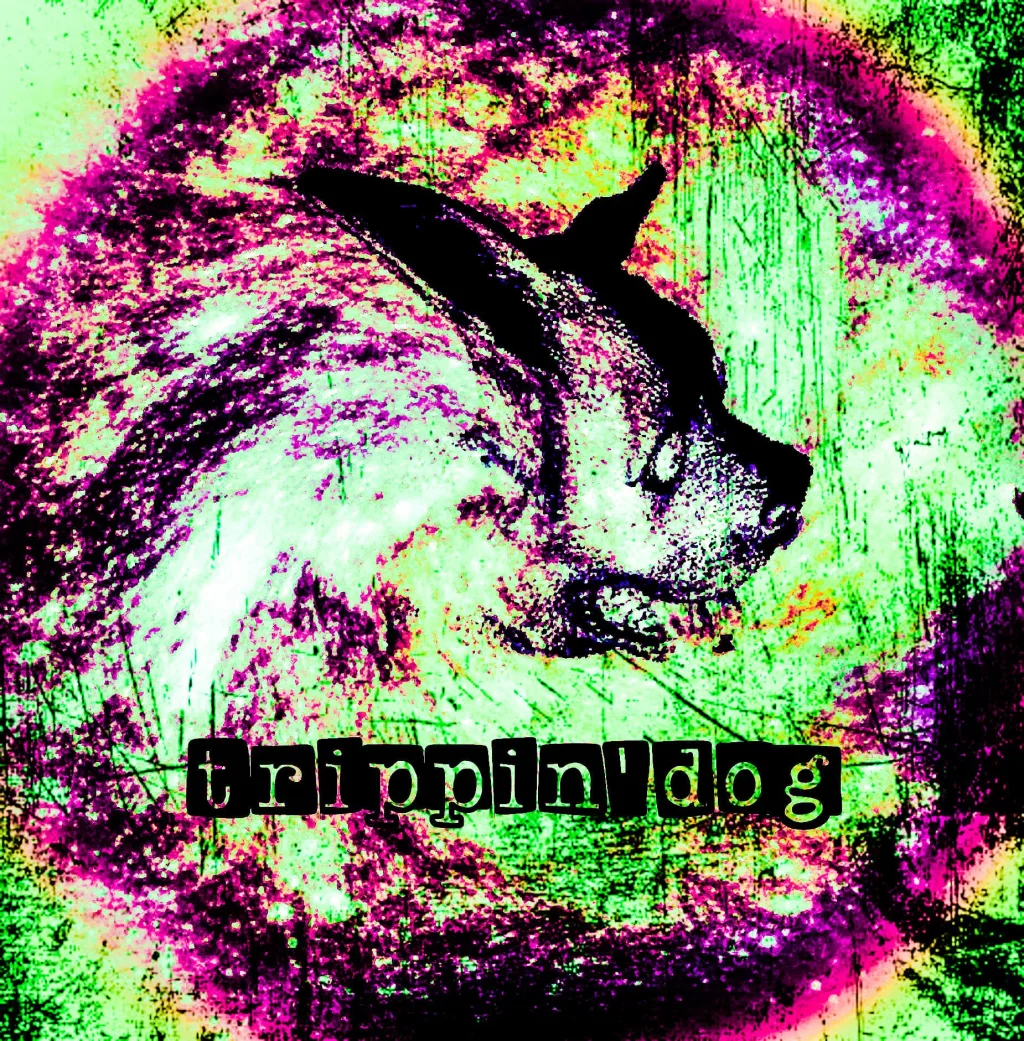Zdjęcie: Trippin'dog