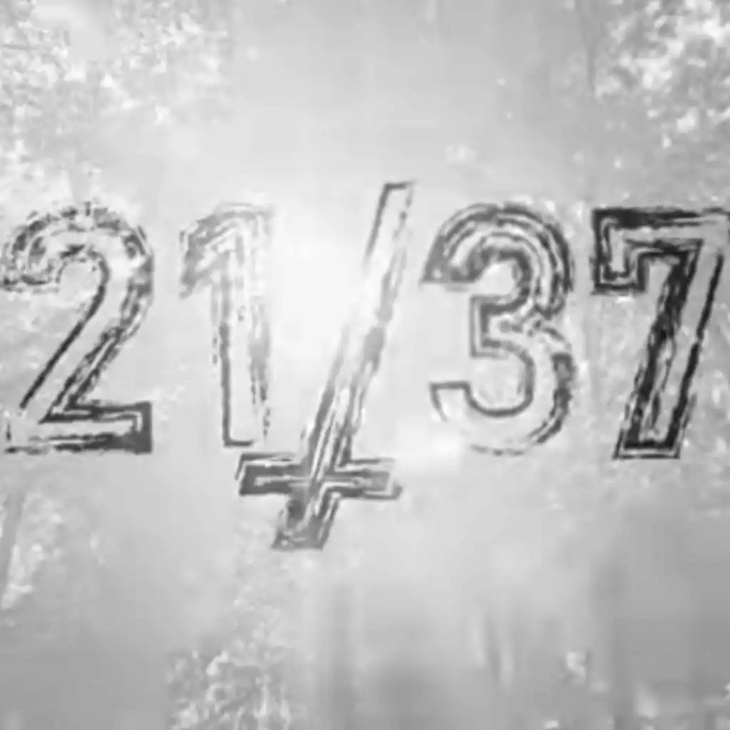 Zdjęcie: 2137