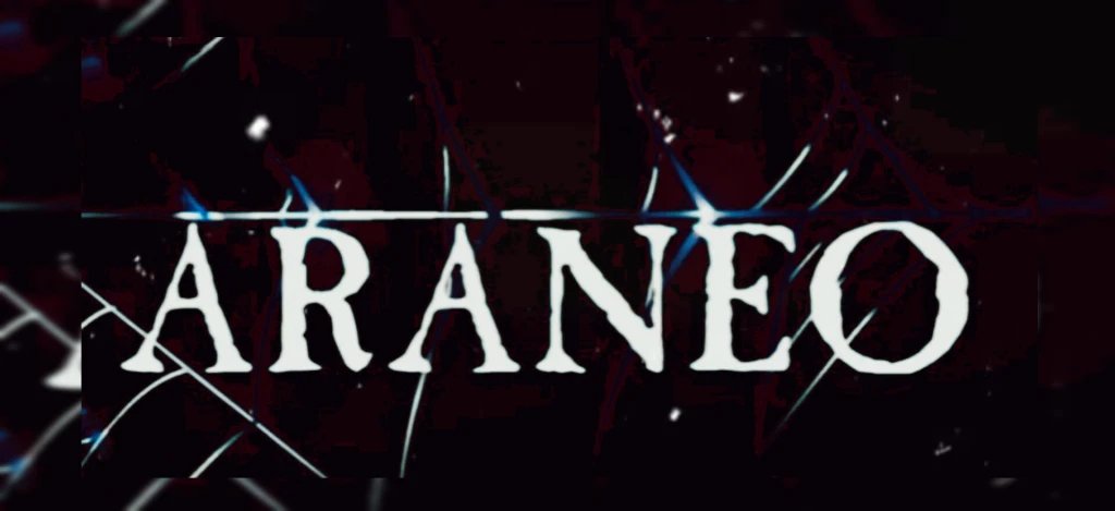 Zdjęcie: ARANEO