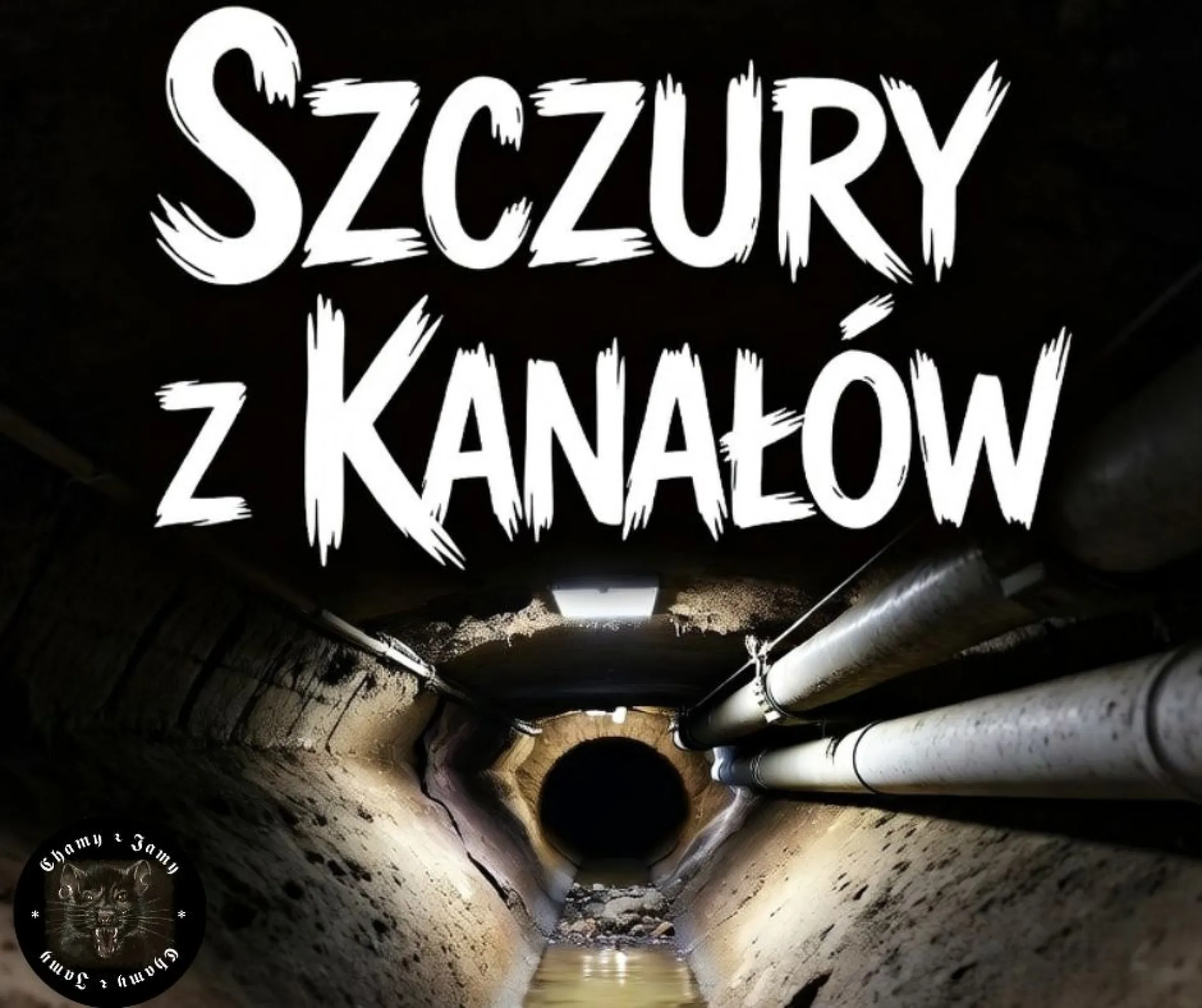 Miniatura klipu Szczury z kanałów