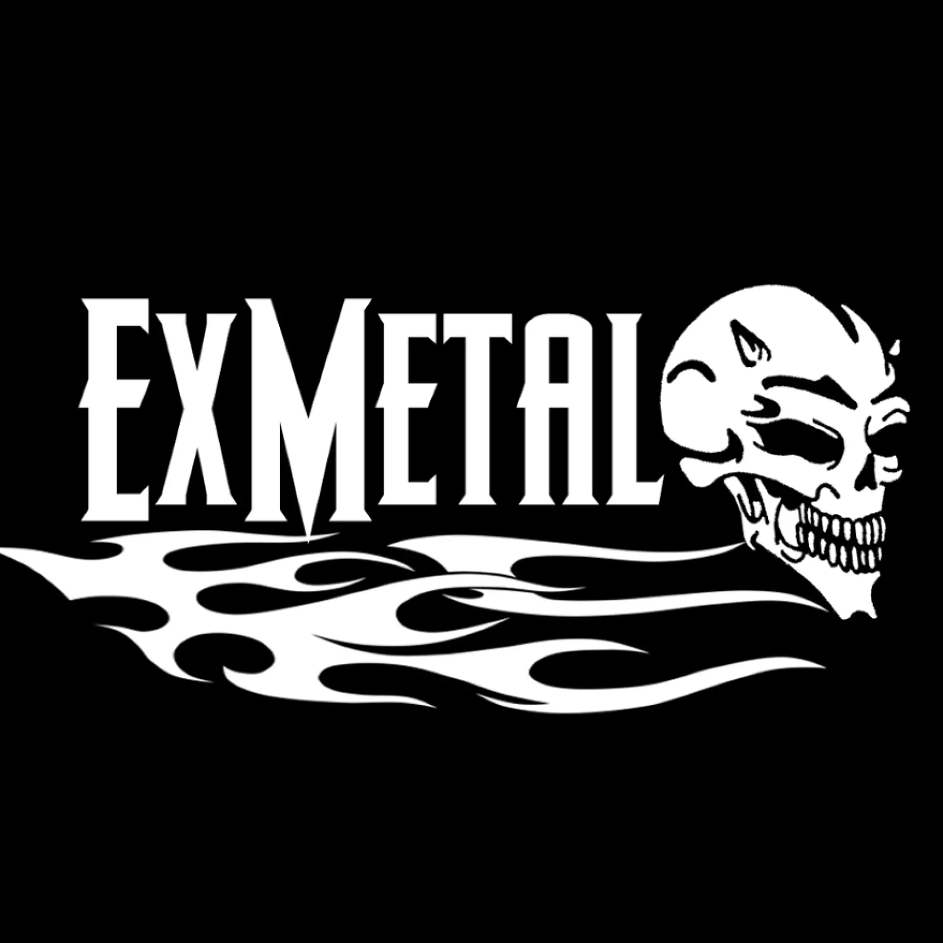 Zdjęcie w tle profilu ExMetal
