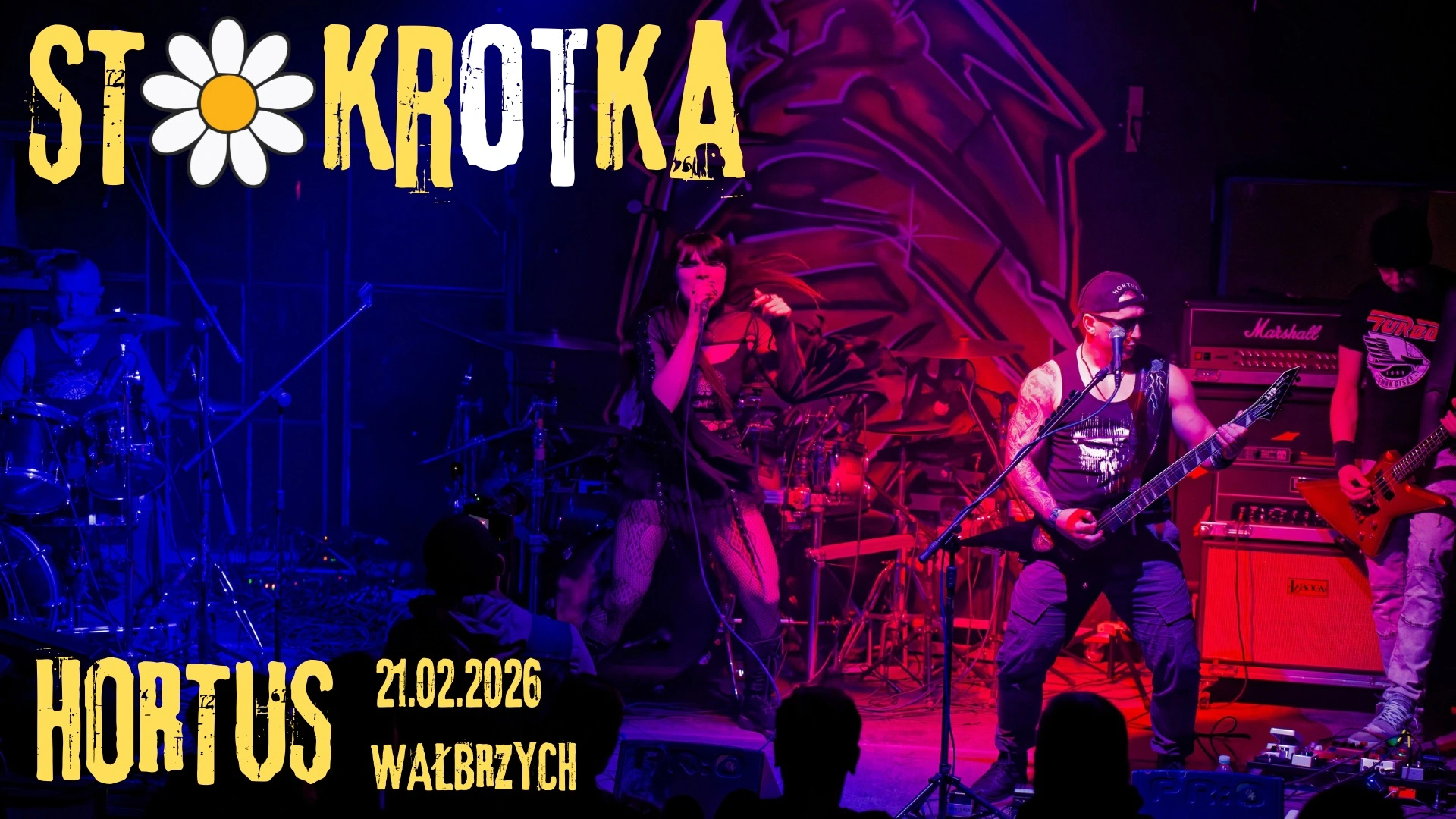 Stokrotka