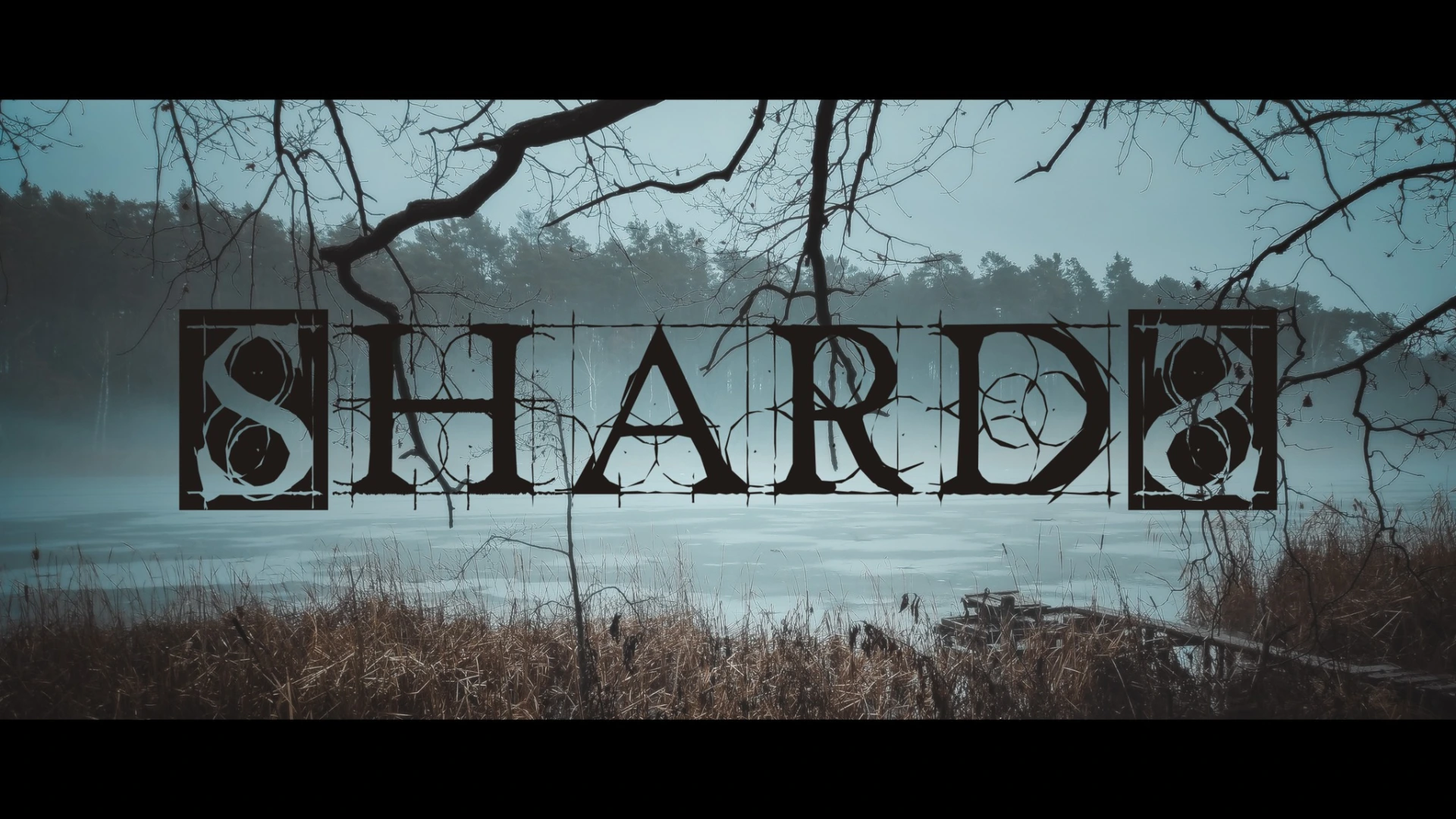 Zdjęcie: SHARDS
